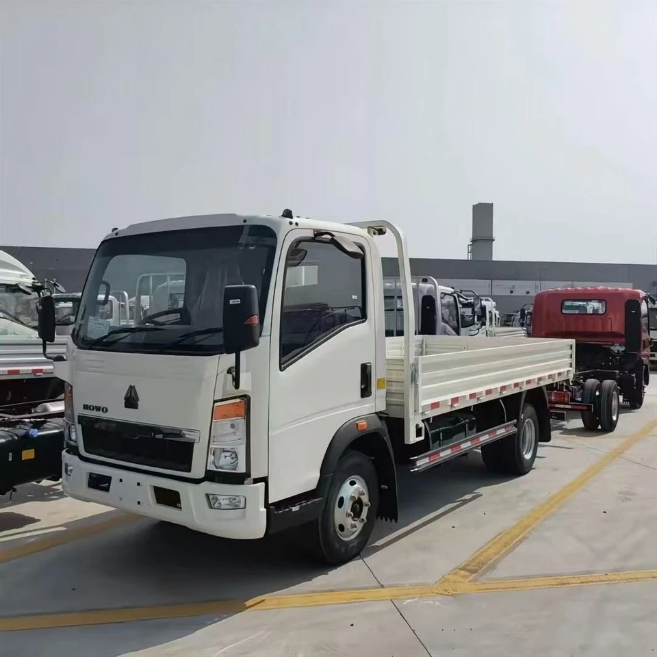 HOWO 116 Horsepower 4x2 Light Truck Cargo Truck best